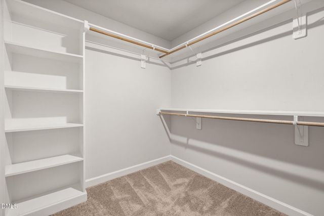 481 Badger Pass Drive, Clayton, NC 27527