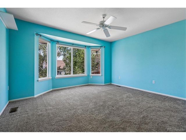 5175 Buena Vista Blvd, Castle Rock, CO 80109