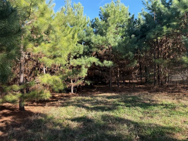 473 County Road Se 3370, Winnsboro, TX 75494