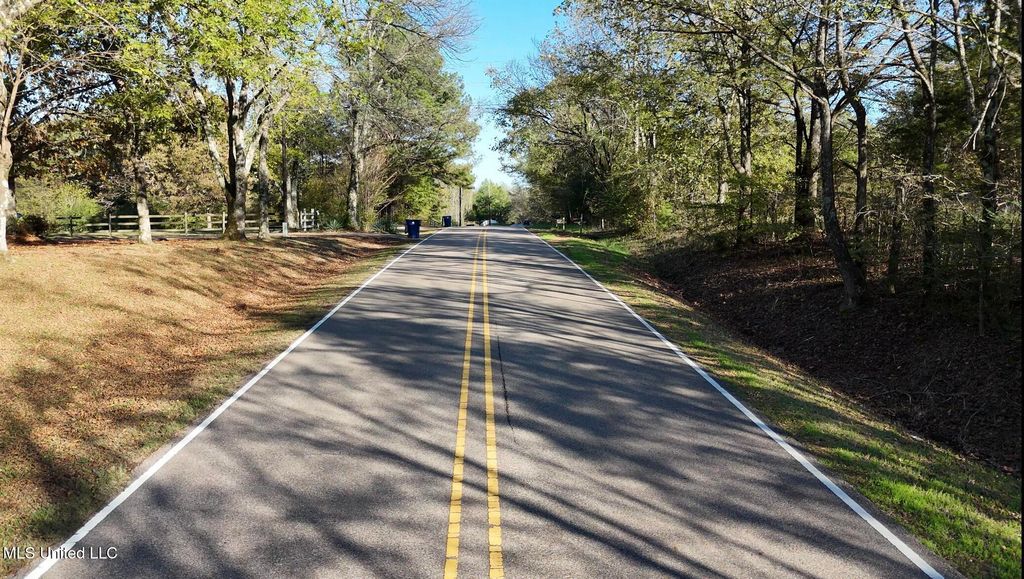 Bethel Road, Olive Branch, MS 38654 — photo 2
