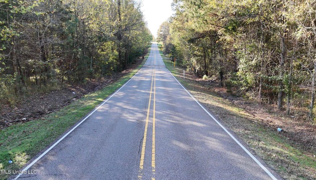 Bethel Road, Olive Branch, MS 38654 — photo 3