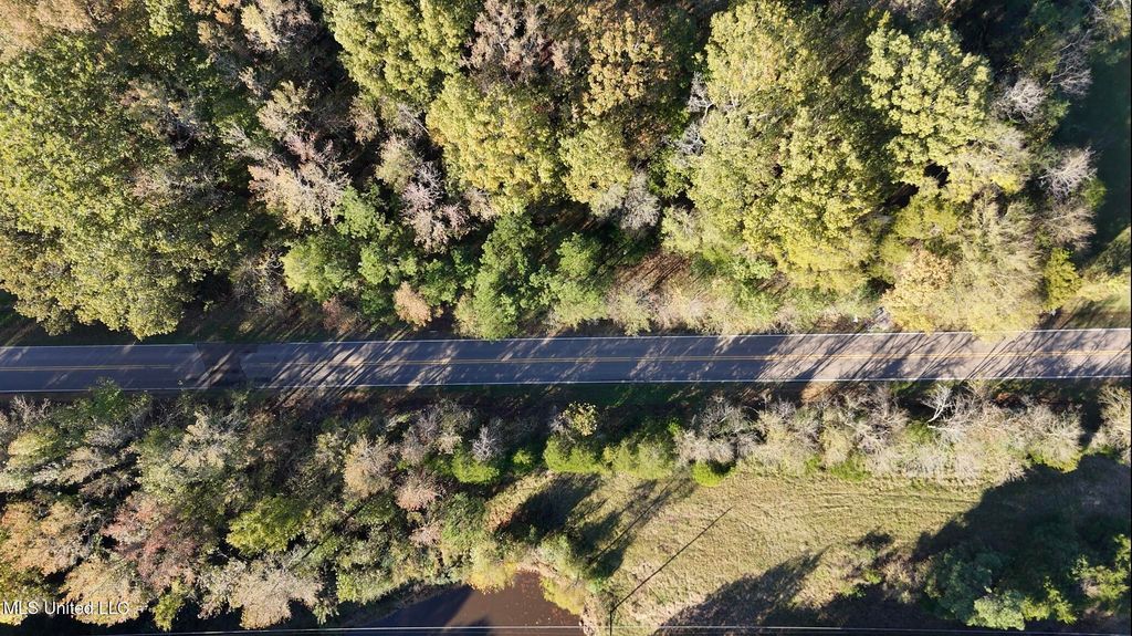 Bethel Road, Olive Branch, MS 38654 — photo 4