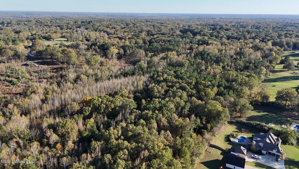 Bethel Road, Olive Branch, MS 38654 — photo 5