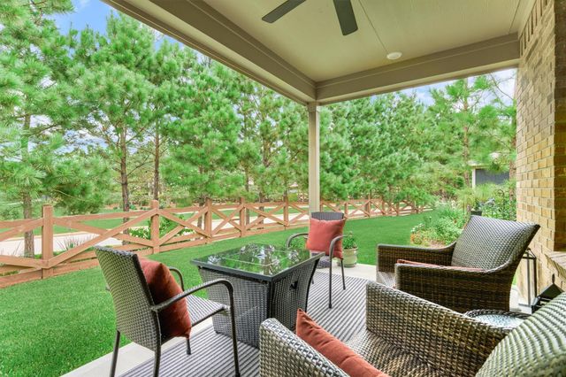 128 Caspian Way, The Woodlands, TX 77382