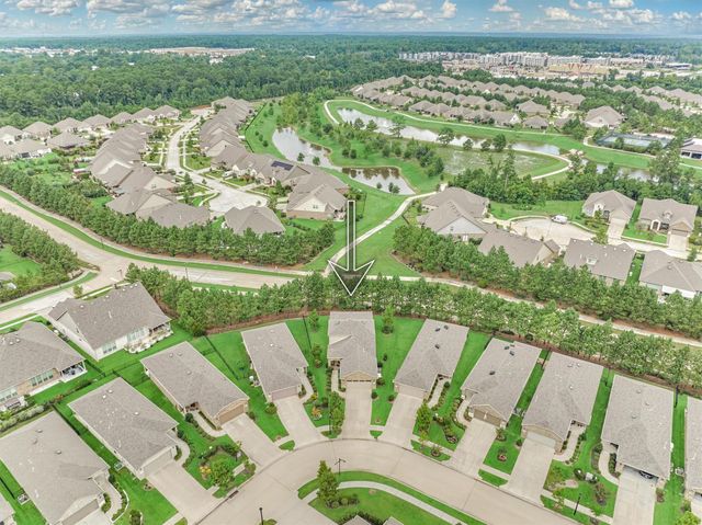 128 Caspian Way, The Woodlands, TX 77382