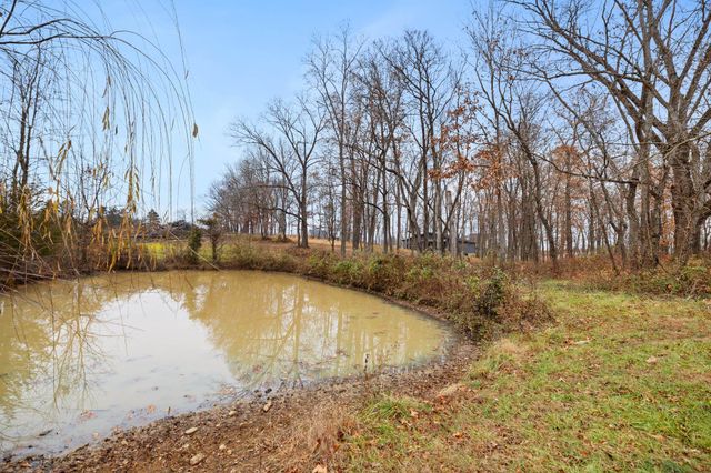 126 CHICKADEE CT, Woodstock, VA 22664