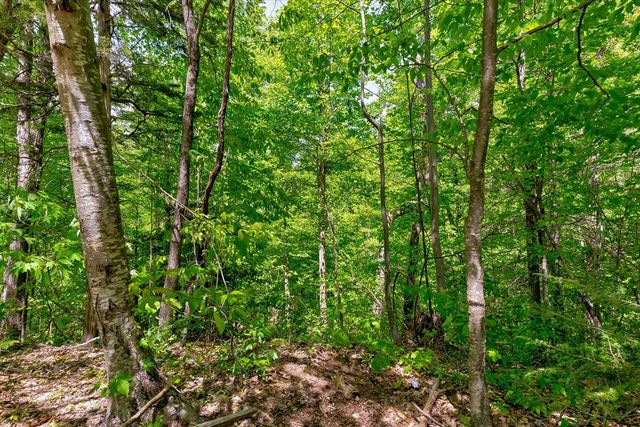 650 Silver Poplar Lane, Sevierville, TN 37876