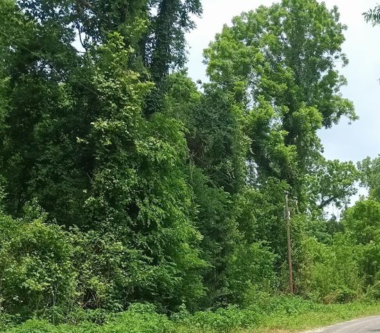 TBD County Road 2859, Cleveland, TX 77327