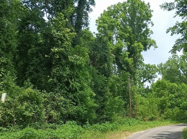 TBD County Road 2859, Cleveland, TX 77327