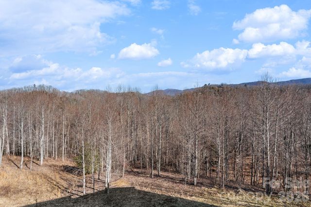 171 Pleasant View Drive, Vilas, NC 28692
