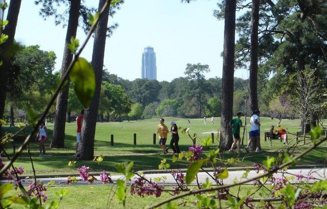 6520 Rodrigo Street, Houston, TX 77007