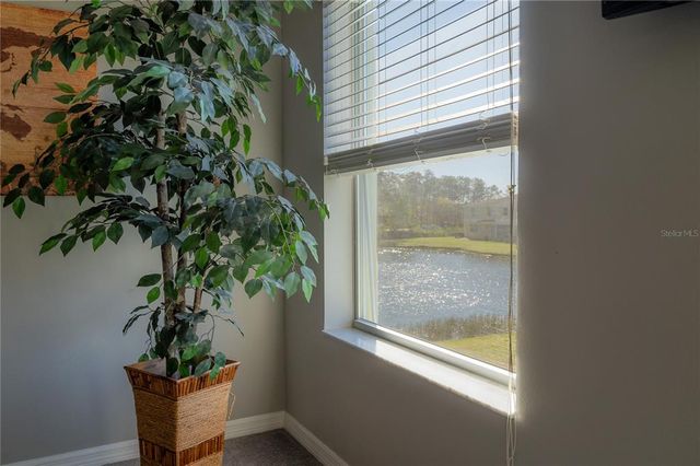 20319 STARFINDER WAY, Tampa, FL 33647