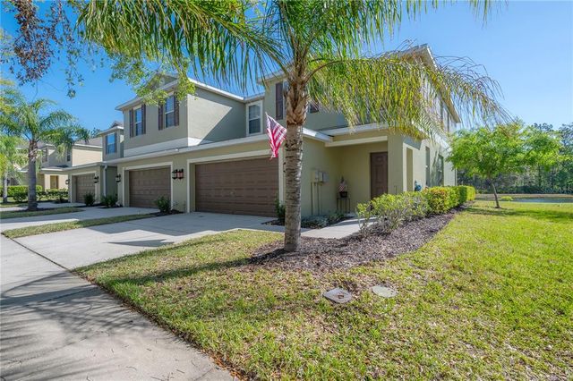 20319 STARFINDER WAY, Tampa, FL 33647