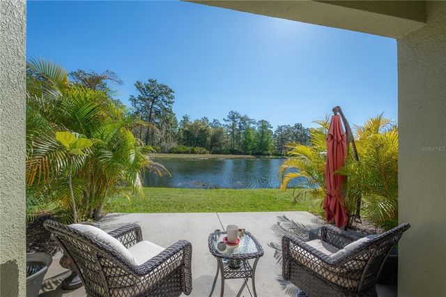 20319 STARFINDER WAY, Tampa, FL 33647