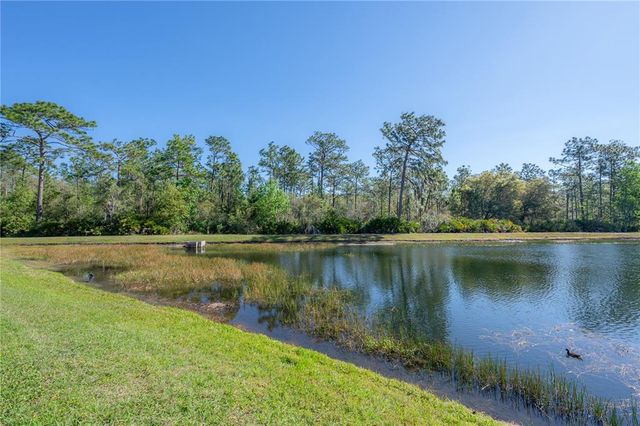 20319 STARFINDER WAY, Tampa, FL 33647