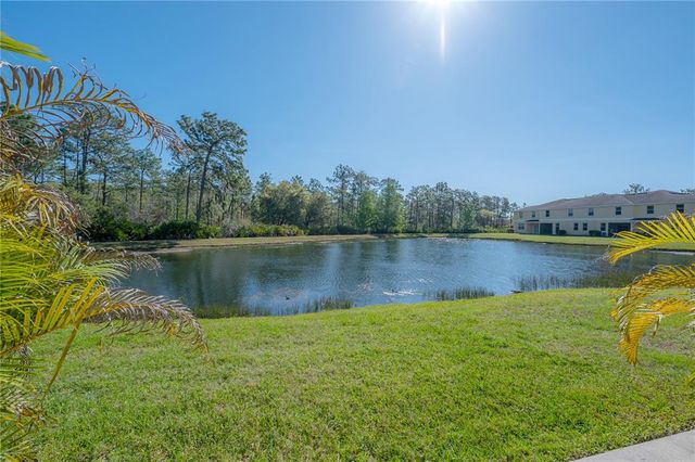 20319 STARFINDER WAY, Tampa, FL 33647