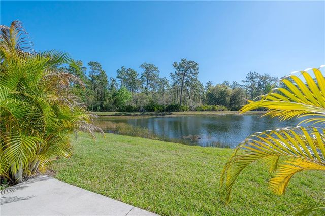 20319 STARFINDER WAY, Tampa, FL 33647