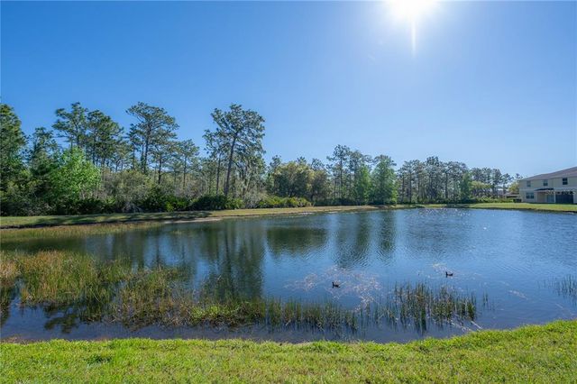 20319 STARFINDER WAY, Tampa, FL 33647
