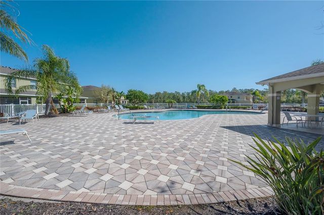 20319 STARFINDER WAY, Tampa, FL 33647