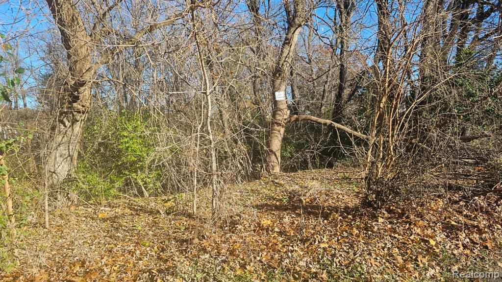 000 Hillpoint Drive, Brighton, MI 48116