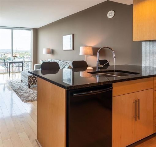 300 Bowie ST 1306, Austin, TX 78703