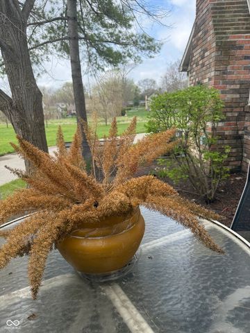 9093 Cinnebar Drive, Indianapolis, IN 46268