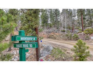 30176 Mountaintop Dr, Buena Vista, CO 81211