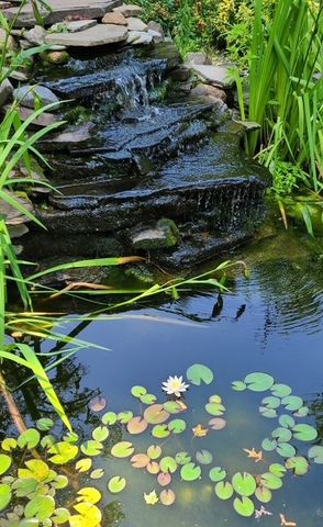 626 SEMINOLE Drive, Erie, PA 16505