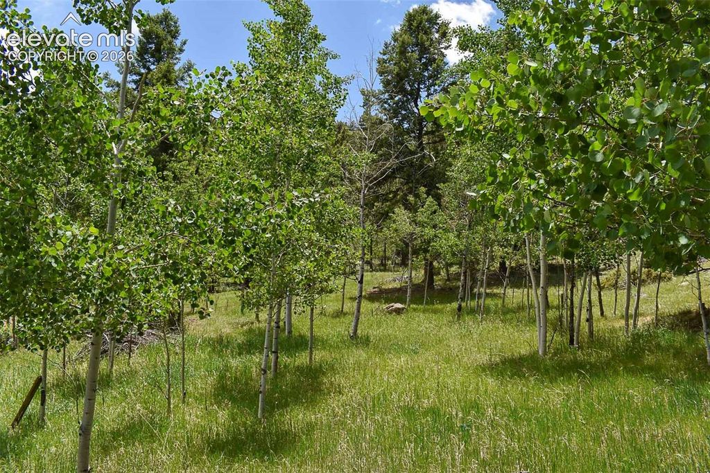 281 Deer Lane, Guffey, CO 80820 — exterior