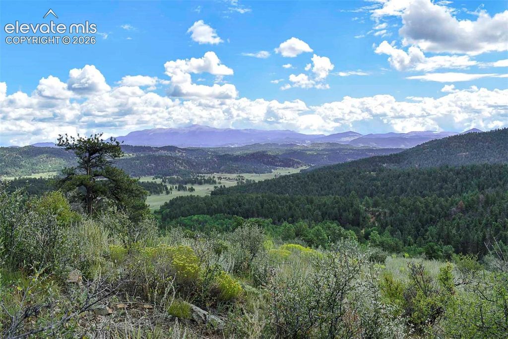281 Deer Lane, Guffey, CO 80820 — photo 2