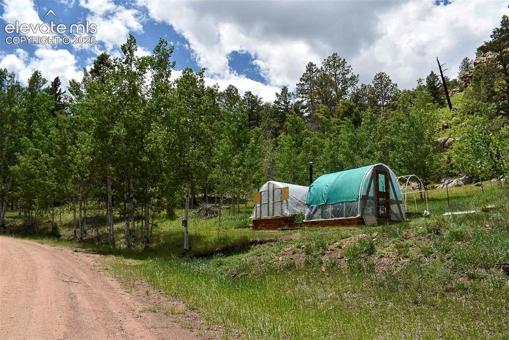 281 Deer Lane, Guffey, CO 80820 — photo 3