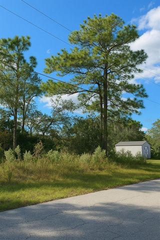 7800 N PRIMROSE DRIVE, Citrus Springs, FL 34434