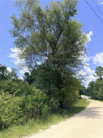 LOT 10 HARDSTONE DRIVE, Webster, FL 33597