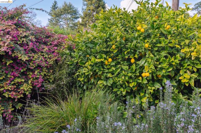 4651 Fair Ave, Oakland, CA 94619