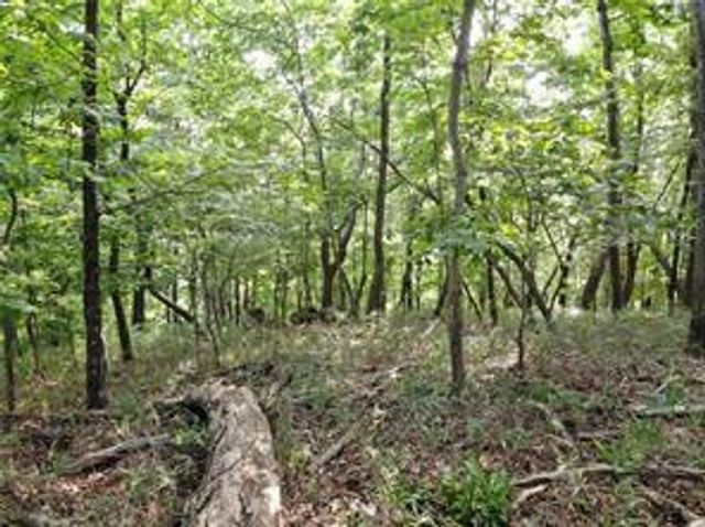 3005 Wild Turkey Knoll, Jasper, GA 30143