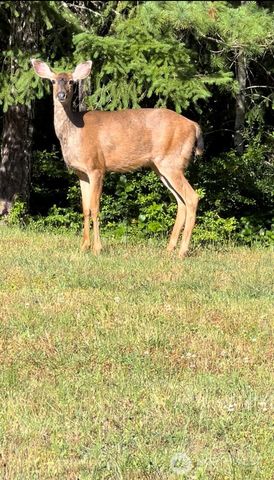 40 E Seahawks Way, Belfair, WA 98528