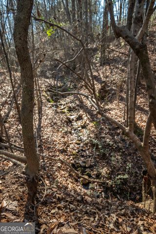 0 Lavista Road, Jefferson, GA 30549