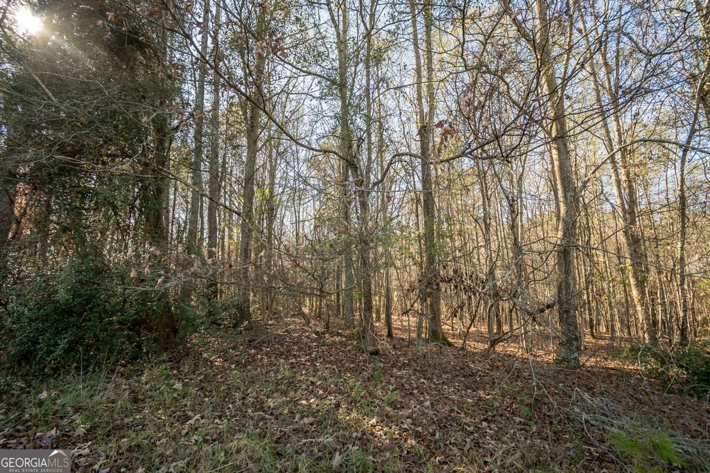 0 Lavista Road, Jefferson, GA 30549 — photo 2