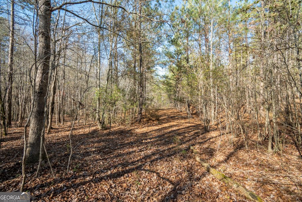 0 Lavista Road, Jefferson, GA 30549 — photo 4