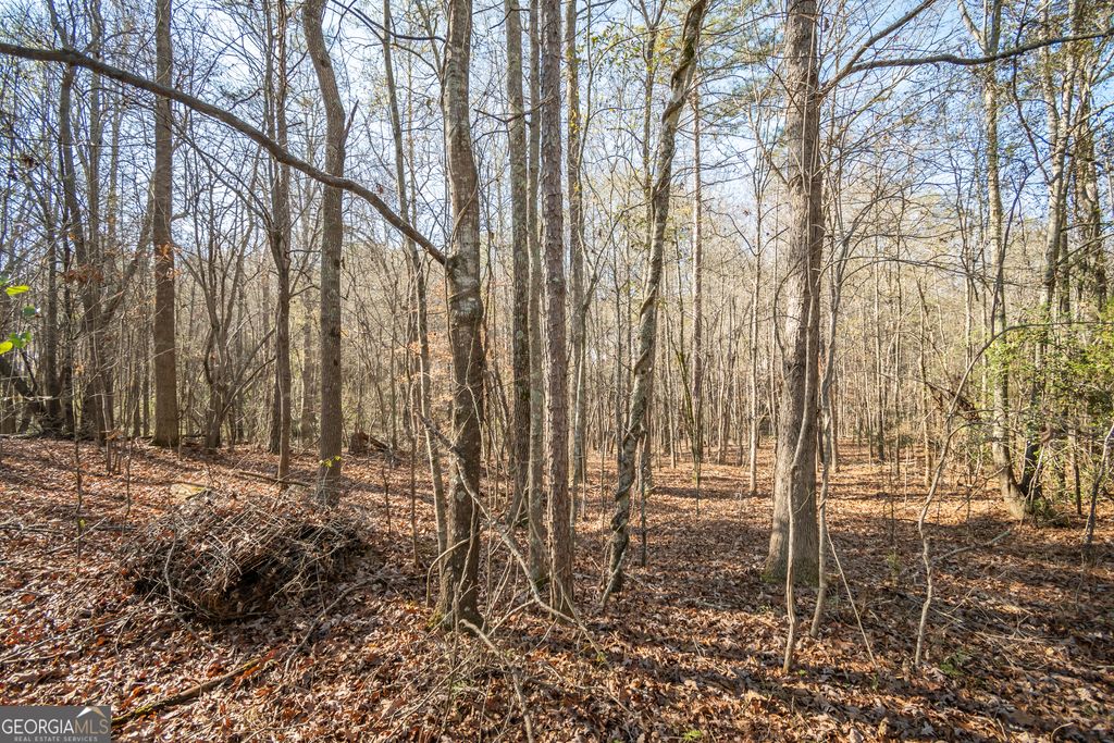 0 Lavista Road, Jefferson, GA 30549 — photo 5