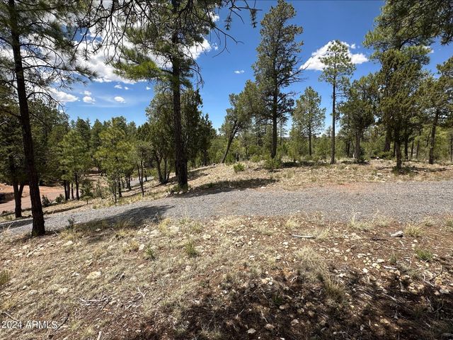 3337 SAWMILL RIDGE Loop 98, Heber, AZ 85928