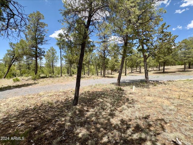 3337 SAWMILL RIDGE Loop 98, Heber, AZ 85928