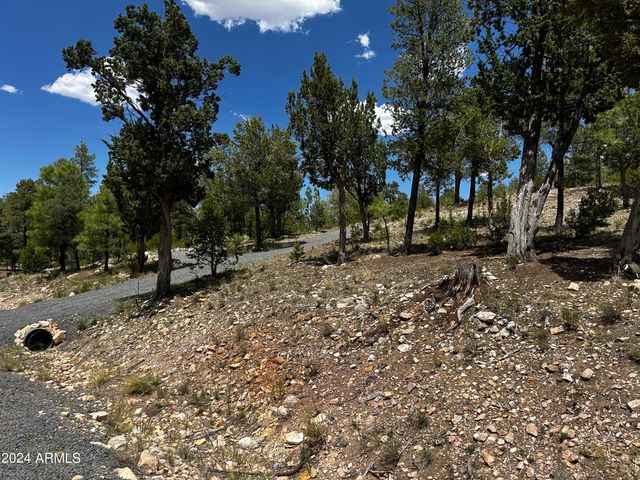 3337 SAWMILL RIDGE Loop 98, Heber, AZ 85928