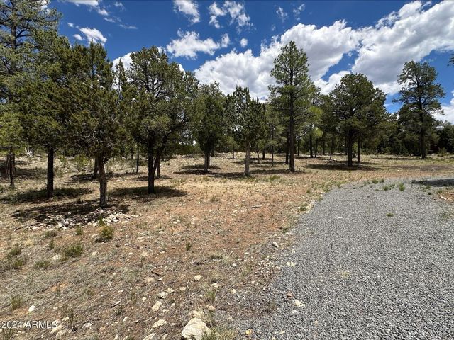 3337 SAWMILL RIDGE Loop 98, Heber, AZ 85928