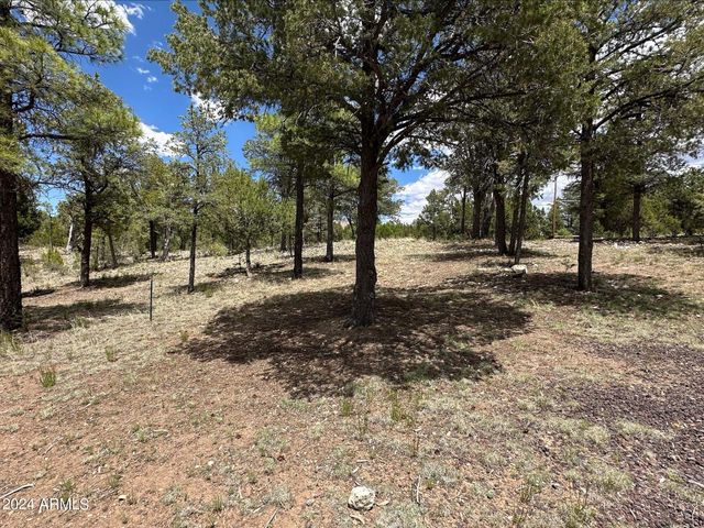 3337 SAWMILL RIDGE Loop 98, Heber, AZ 85928