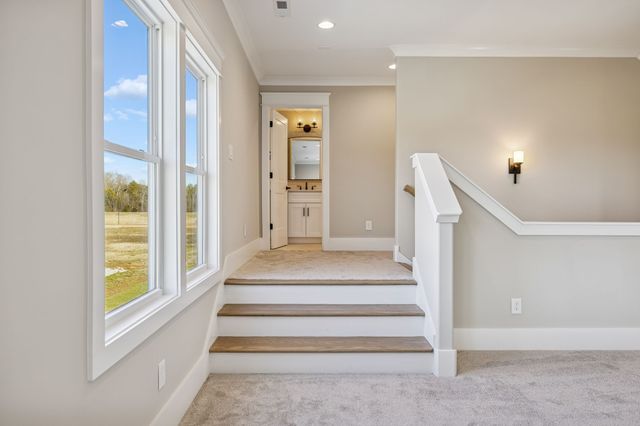 6208 Cedar Brooke Lane, Spring Hill, TN 37174