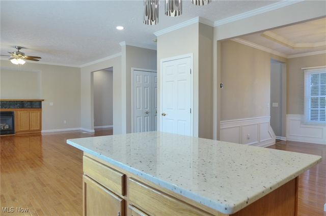 35160 Spatterdock Lane, Solon, OH 44139