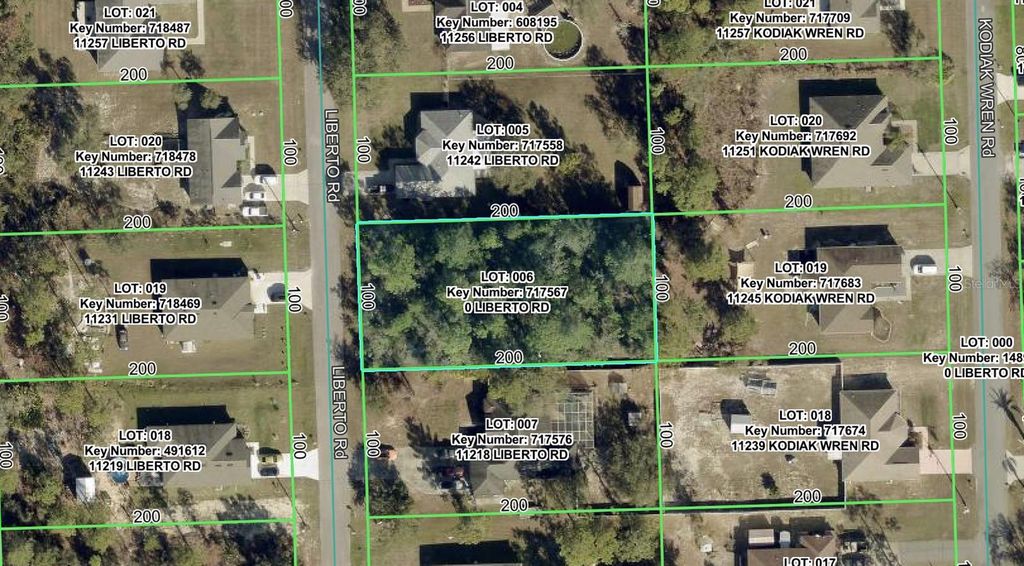 11230 LIBERTO ROAD, Weeki Wachee, FL 34614