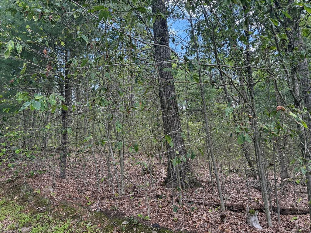 French Clearing Road, Forestburgh, NY 12777