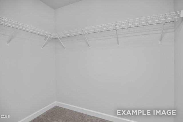 609 Crescent Wood Trail 016, Zebulon, NC 27597